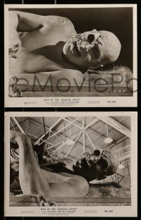 8h407 WAR OF THE COLOSSAL BEAST 9 8x10 stills 1958 cool images from the Bert I. Gordon movie!