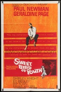 8j845 SWEET BIRD OF YOUTH 1sh 1962 Paul Newman, Geraldine Page, from Tennessee Williams' play!