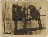 8k426 BIG SHOW LC 1920 a C.L. Chester Comedy starring Snooky the chimp, parrot talks on phone!