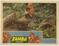 8k998 ZAMBA LC #6 1949 great image of 8 year-old Beau Bridges in the jungle with two chimpanzees!