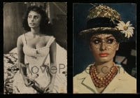 8m245 LOT OF 2 SOPHIA LOREN POSTCARDS 1960s great portraits of the sexy Italian star!