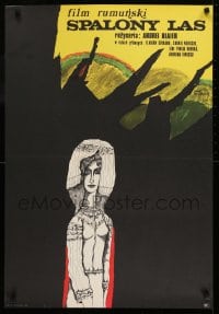 8p611 PADUREA PIERDUTA Polish 23x33 1972 Andrei Blaier directed, Stachurski art of woman in forest