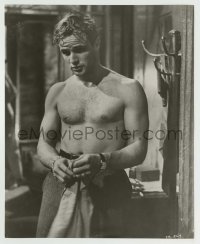 8s789 STREETCAR NAMED DESIRE 7.25x9 still 1951 sexiest portrait of barechested Marlon Brando!
