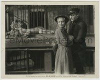 8s899 ZOO IN BUDAPEST 8x10 still 1933 c/u of Loretta Young & Gene Raymond by lions in cage!