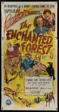 8t401 ENCHANTED FOREST 3sh 1945 Edmund Lowe, Brenda Joyce, as beautiful as a Disney feature!