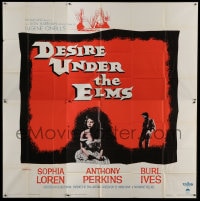 8t032 DESIRE UNDER THE ELMS 6sh 1958 sexy Sophia Loren, Anthony Perkins, from Eugene O'Neill play!