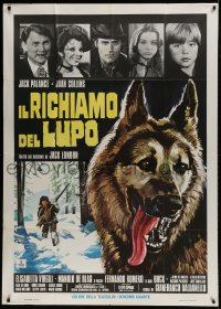 8t788 GREAT ADVENTURE Italian 1p 1975 art of Jack Palance & wolf, Jack London's Call of the Wild!