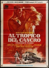 8t970 TROPIC OF CANCER Italian 1p 1972 giallo with blaxploitation, Casaro art, Peacock's Place!