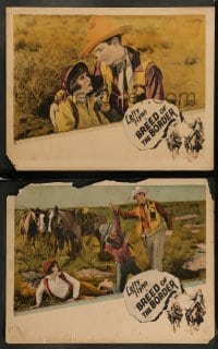8w935 BREED OF THE BORDER 2 LCs 1924 great cowboy western images of Lefty Flynn and Dorothy Dwan!