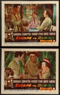 8w954 ESCAPE TO BURMA 2 LCs 1955 Robert Ryan & Barbara Stanwyck in the jungle!