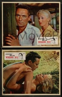 8w682 WINDOM'S WAY 8 English LCs 1958 Peter Finch & Mary Ure in machete crawling jungle!