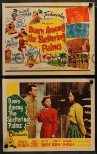 8w198 DOWN AMONG THE SHELTERING PALMS 8 LCs 1953 tropical Jane Greer, Mitzi Gaynor & De Haven!