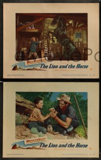 8w378 LION & THE HORSE 8 LCs 1952 images of Steve Cochran & Wildfire in the title role!