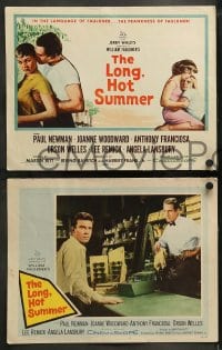 8w385 LONG, HOT SUMMER 8 LCs 1958 Paul Newman, Joanne Woodward, Faulkner, directed by Martin Ritt!