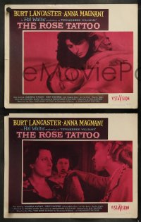 8w523 ROSE TATTOO 8 LCs 1955 Burt Lancaster & Anna Magnani, Tennessee Williams!