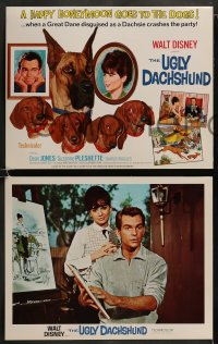 8w033 UGLY DACHSHUND 9 LCs 1966 Walt Disney, Dean Jones & Suzanne Pleshette + cute dogs!