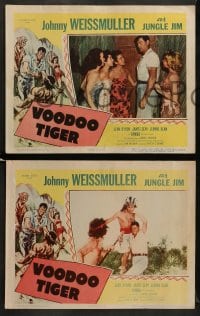 8w654 VOODOO TIGER 8 LCs 1952 Johnny Weissmuller as Jungle Jim & sexy Jeanne Dean!
