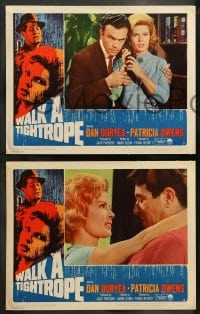 8w655 WALK A TIGHTROPE 8 LCs 1964 Dan Duryea, Patricia Owens, between disaster & adventure!