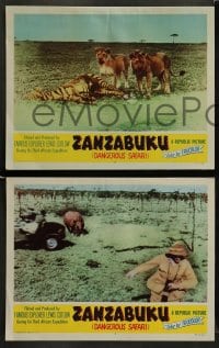 8w776 ZANZABUKU 6 LCs 1956 Dangerous Safari, cool image of charging rhino & natives!