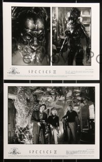 8x903 SPECIES II presskit w/ 8 stills 1998 sexiest alien Natasha Henstridge, Michael Madsen!