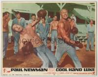8z233 COOL HAND LUKE LC #1 1967 Paul Newman gets a merciless beating boxing with George Kennedy!