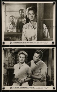 9a972 SINS OF RACHEL CADE 2 8x10 stills 1960 great images of Angie Dickinson, Peter Finch!