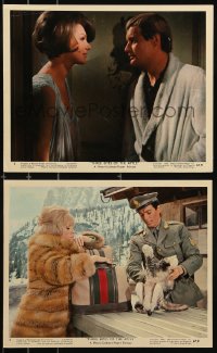 9a164 THREE BITES OF THE APPLE 2 color 8x10 stills 1967 David McCallum, Sylvia Koscina!