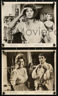 9a268 MADAME SANS GENE 11 8x10 stills R1963 great images of sexy Sophia Loren and Robert Hossein!