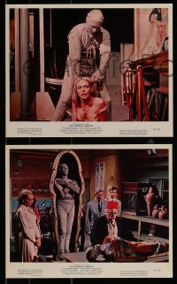 9a123 MUMMY'S SHROUD 4 color 8x10 stills 1967 Hammer horror, Andre Morell, images of the creature!