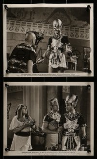 9a273 PHARAOHS' WOMAN 11 keybook 8x10 stills 1961 La donna dei faraoni, Linda Cristal in title role!