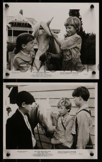 9a720 RIDE A WILD PONY 5 8x10 stills 1976 Walt Disney, cool images of boy, horse and train!