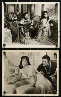9a462 SOLOMON & SHEBA 8 8x10 stills 1959 sexy Gina Lollobrigida, Yul Brynner with hair, Vidor!