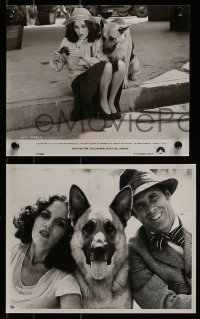 9a639 WON TON TON 6 8x10 stills 1976 Kahn, Dern, Hollywood German Shepherd movie star dog!