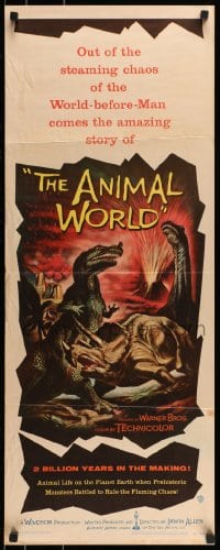9c523 ANIMAL WORLD insert 1956 great artwork of prehistoric dinosaurs & erupting volcano!