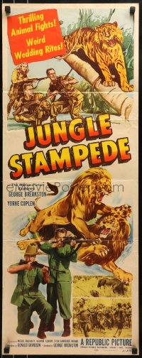 9c743 JUNGLE STAMPEDE insert 1950 cool artwork of wild jungle animals, lion fight!
