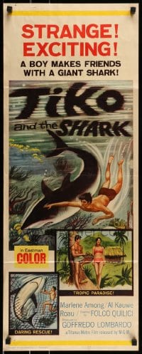 9c951 TIKO & THE SHARK insert 1963 man tames killer, cool swimming with shark image!