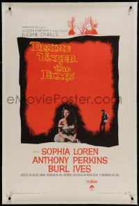 9h041 DESIRE UNDER THE ELMS linen 1sh 1958 sexy Sophia Loren, Anthony Perkins, Eugene O'Neill play!