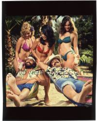 9m209 CHEECH & CHONG'S NICE DREAMS 8x10 transparency 1981 great image w/ sexy ladies from 1sheet!