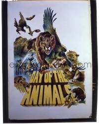 9m213 DAY OF THE ANIMALS 8x10 transparency 1977 the terrifying movie of a world gone mad, 1sh art!