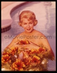 9m411 LANA TURNER 4x5 transparency 1960s the sexy actress topless behind flowers in swimming pool!
