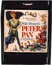 9m603 PETER PAN 8x10 transparency 1990s Walt Disney cartoon, great image of the six-sheet!