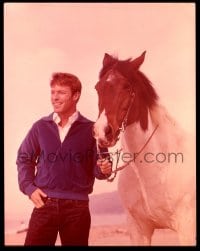 9m430 RICHARD CHAMBERLAIN 4x5 transparency 1960s great portrait of TV's Dr. Kildare with horse!