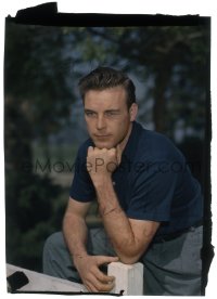 9m476 SCOTT BRADY 5x6 transparency 1952 great posed portrait of the handsome actor!