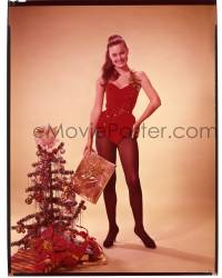9m281 SHARON HUGUENY 8x10 transparency 1960s scantily clad beauty w/ presents by Christmas tree!