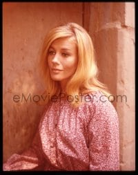 9m454 VALORA NOLAND 4x5 transparency 1967 c/u of the pretty blonde actress from The War Wagon!