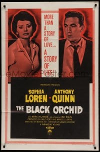 9p109 BLACK ORCHID 1sh 1959 Anthony Quinn, Sophia Loren, a story of love directed by Martin Ritt!