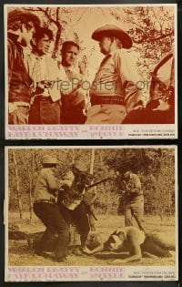 9r874 BONNIE & CLYDE 2 LCs 1967 Warren Beatty, Gene Hackman & Pollard, Denver Pyle!