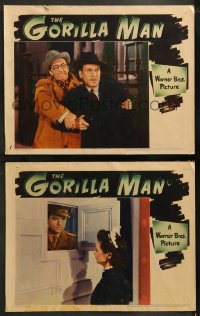 9r904 GORILLA MAN 2 LCs 1942 John Loder, pretty Ruth Ford, Marian Hall, World War II spy thriller!