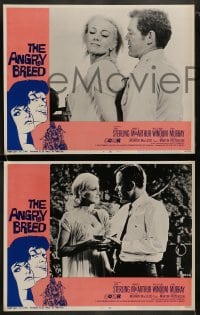 9r044 ANGRY BREED 8 LCs 1968 bikers buck the establishment, Jan Sterling, James MacArthur!