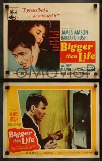 9r065 BIGGER THAN LIFE 8 LCs 1956 drug addict James Mason, Barbara Rush, Walter Matthau!
